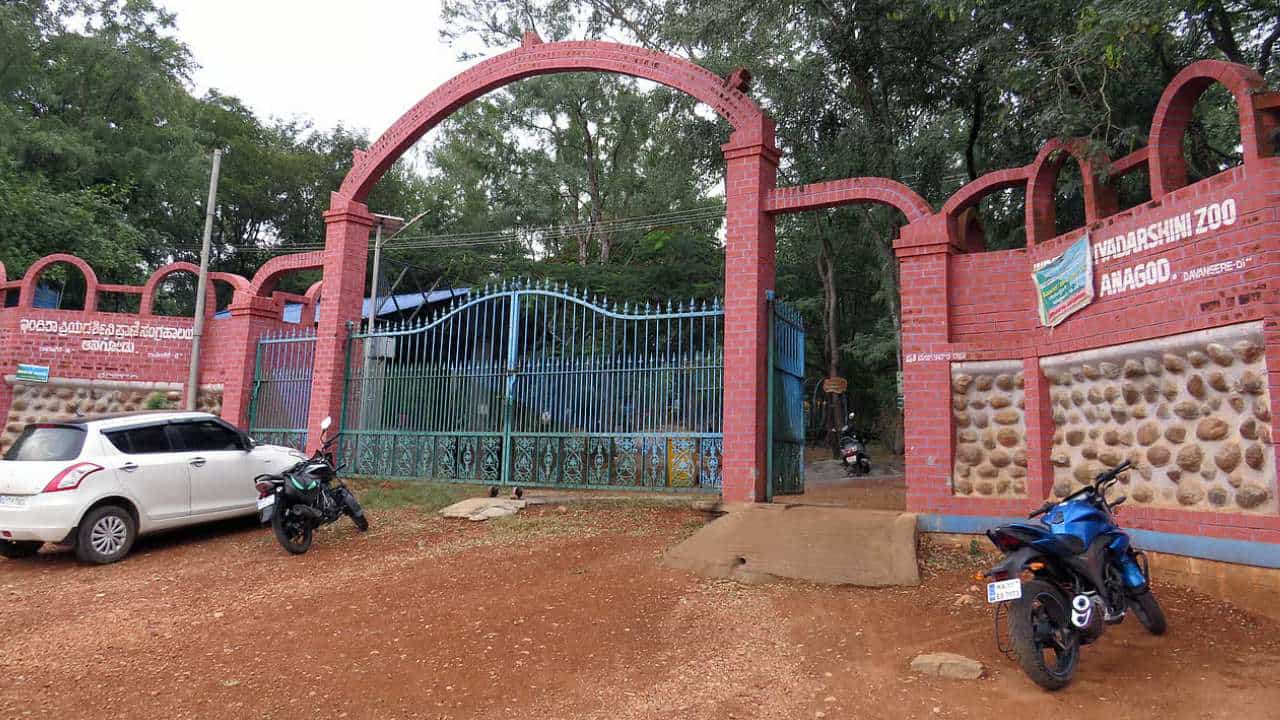 ದಾವಣಗೆರೆ ಕಿರು ಮೃಗಾಲಯದಲ್ಲಿ 4 ಚುಕ್ಕೆ ಜಿಂಕೆಗಳು ಸಾವು: ಸಾರ್ವಜನಿಕರಿಗೆ ಪ್ರವೇಶ ನಿರ್ಬಂಧ
