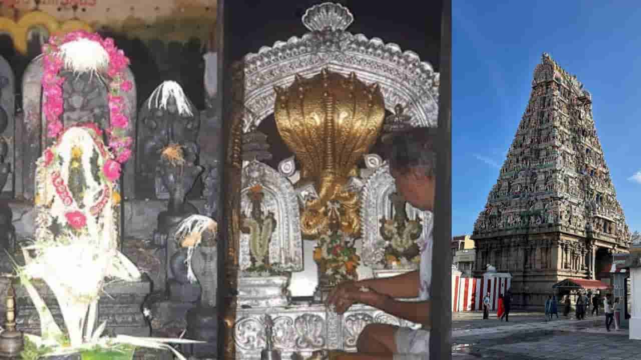 Kala Sarpa Dosha: ಜಾತಕದಲ್ಲಿ ಕಾಳ ಸರ್ಪ ದೋಷ ಇದ್ರೆ, ತಪ್ಪದೇ ಈ 5 ದೇವಾಲಯಗಳಿಗೆ ಭೇಟಿ ನೀಡಿ