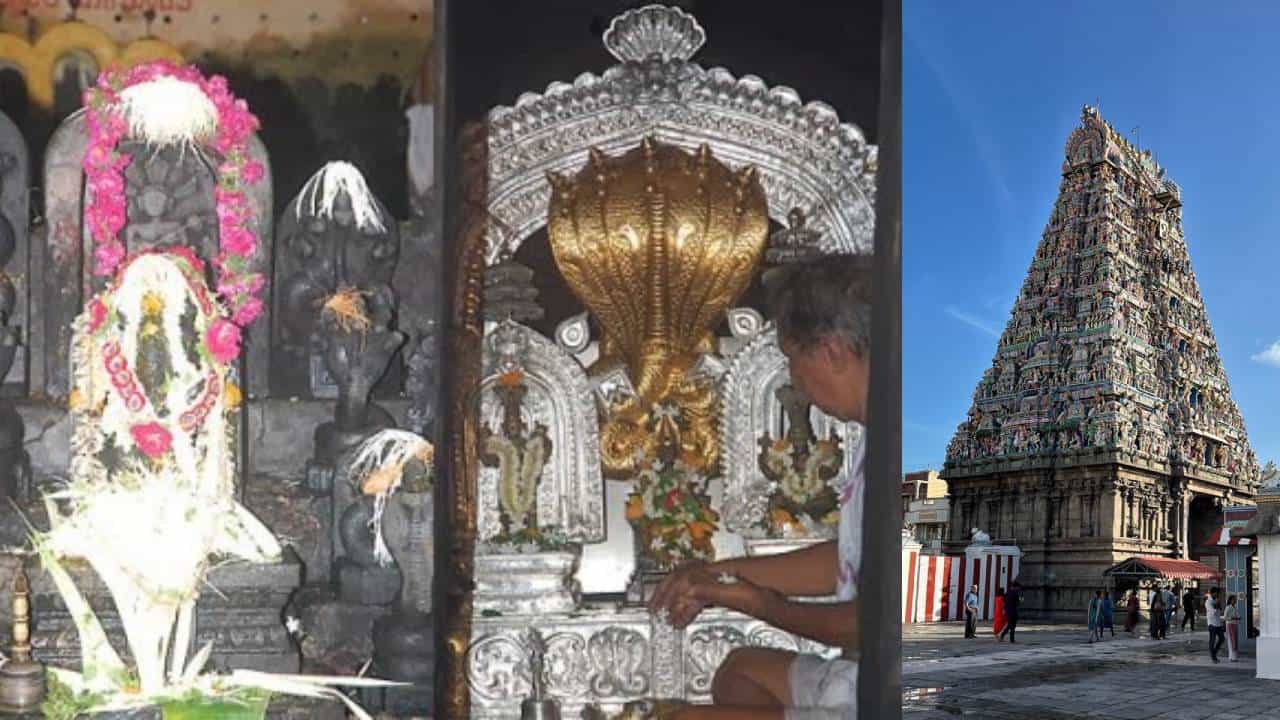 Kala Sarpa Dosha: ಜಾತಕದಲ್ಲಿ ಕಾಳ ಸರ್ಪ ದೋಷ ಇದ್ರೆ, ತಪ್ಪದೇ ಈ 5 ದೇವಾಲಯಗಳಿಗೆ ಭೇಟಿ ನೀಡಿ Kala Sarpa Dosha: ಜಾತಕದಲ್ಲಿ ಕಾಳ ಸರ್ಪ ದೋಷ ಇದ್ರೆ, ತಪ್ಪದೇ ಈ 5 ದೇವಾಲಯಗಳಿಗೆ ಭೇಟಿ ನೀಡಿ