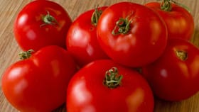 ಗ್ರಾಹಕರಿಗೆ ಮೊಗದಲ್ಲಿ ಮಂದಹಾಸ ತಂದ 'ಕೆಂಪು ರಾಣಿ'