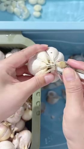 ಬೆಳ್ಳುಳ್ಳಿ ಸಿಪ್ಪೆ ಸುಲಿಯಲು ಇಲ್ಲಿದೆ ಸಿಂಪಲ್ ಟ್ರಿಕ್ಸ್‌