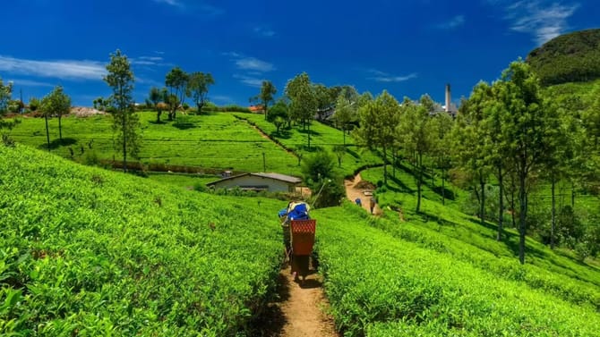 ಕೊಡಗಿಗೆ ಬರುವ ಪ್ರವಾಸಿಗರ ಸಂಖ್ಯೆಯಲ್ಲಿ ಭಾರಿ ಇಳಿಕೆ: ಕಾರಣ ಇಲ್ಲಿದೆ