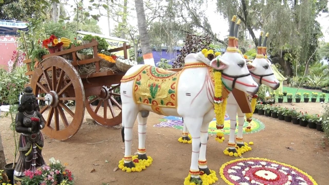 ಮೂರು ದಿನ ನಡೆಯುತ್ತಿರುವ ಈ ಫಲಪುಷ್ಪ ಪ್ರದರ್ಶನವನ್ನು ಎಲ್ಲ ವಯೋಮಾನದವರ ಅಭಿರುಚಿಗೆ ಅನುಗುಣವಾಗಿ ಆಯೋಜಿಸಲಾಗಿದೆ.  ರೈತರಿಗೆ ರೇಷ್ಮೆ ಕೃಷಿ, ಸಾವಯವ ಕೃಷಿ, ಮೀನು ಕೃಷಿ ಸೇರಿದಂತೆ ಹಲವು ಬೆಳೆಗಳನ್ನು ಬೆಳೆಯುವ ಮಾಹಿತಿಯನ್ನೂ ಇಲ್ಲಿ ನೀಡಲಾಗ್ತಿದೆ. ಅಂಬೇಡ್ಕರ್ ಅವರ ಜೀವನ ಚರಿತ್ರೆಯನ್ನು ಮಕ್ಕಳಿಗೆ ತಿಳಿಸುವ ವಿವಿಧ ಫೋಟೋಗಳನ್ನು ಒಂದೇ ಸೂರಿನಡಿ ಇಡಲಾಗಿದೆ. 