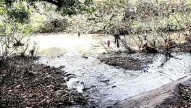 ಹೀಗೆ ಕಲುಷಿತಗೊಂಡರೆ ಸೌಪರ್ಣಿಕಾ ನದಿ ಉಳಿಯುತ್ತಾ?