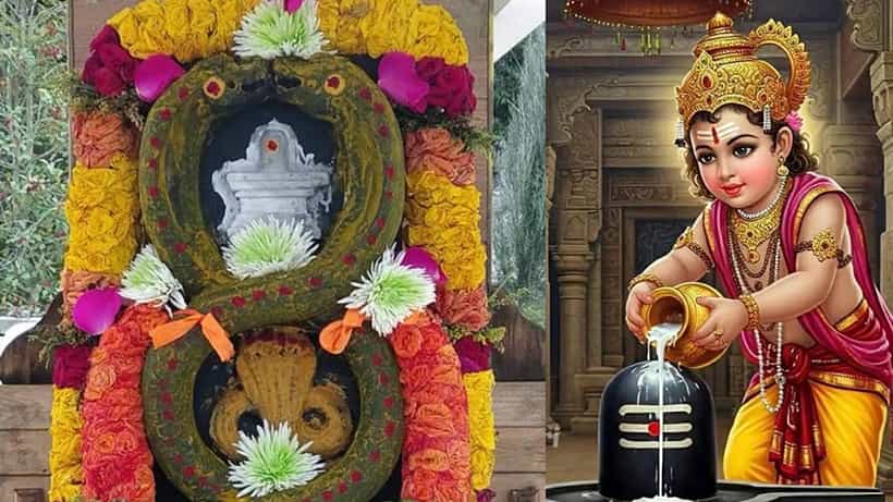 Kumara Shashti: ಇಂದು ಕುಮಾರ ಷಷ್ಠಿ; ನಾಗಾಂಶ ಮತ್ತು ಆಧ್ಯಾತ್ಮಿಕ ಮಹತ್ವ ತಿಳಿಯಿರಿ