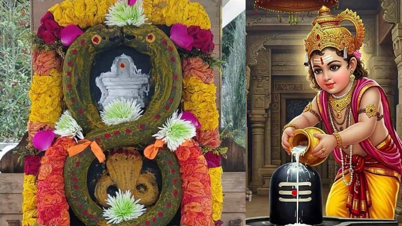Kumara Shashti: ಇಂದು ಕುಮಾರ ಷಷ್ಠಿ; ನಾಗಾಂಶ ಮತ್ತು ಆಧ್ಯಾತ್ಮಿಕ ಮಹತ್ವ ತಿಳಿಯಿರಿ Kumara Shashti: ಇಂದು ಕುಮಾರ ಷಷ್ಠಿ; ನಾಗಾಂಶ ಮತ್ತು ಆಧ್ಯಾತ್ಮಿಕ ಮಹತ್ವ ತಿಳಿಯಿರಿ