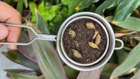 ಬಳಸಿದ ಚಹಾ ಪುಡಿಯನ್ನು ಈ ರೀತಿ ಮರುಬಳಕೆ ಮಾಡಿ