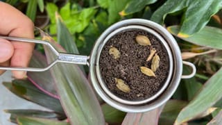 KSTDCನಿಂದ ವಿಶೇಷ ಪ್ಯಾಕೇಜ್: 20% ರಿಯಾಯಿತಿ, ಎಲ್ಲಿಗೆಲ್ಲ ಟೂರ್