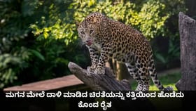 ಮಗನ ಮೇಲೆ ದಾಳಿ ಮಾಡಿದ ಚಿರತೆಯನ್ನು ಕತ್ತಿಯಿಂದ ಹೊಡೆದು ಕೊಂದ ರೈತ