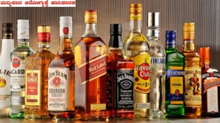 ಬಂಡೆ ಬ್ಲಾಸ್ಟ್​​ನಿಂದ 4 ಚಿರತೆಗಳು ಸಾವು: ಹೋರಾಟದ ಎಚ್ಚರಿಕೆ ಕೊಟ್ಟ ST ಸೋಮಶೇಖರ್, ಖಂಡ್ರೆ ಹೇಳಿದ್ದಿಷ್ಟು