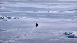 16 ವಿಭಾಗದಲ್ಲಿ ನಾಮನಿರ್ದೇಶನಗೊಂಡ ಹಾರರ್ ಚಿತ್ರ; 3 ಸಾವಿರ ಕೋಟಿ ಕಲೆಕ್ಷನ್