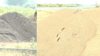 ಮಾಂಜ್ರಾ ನದಿ ಒಡಲು ಬಗೆಯುತ್ತಿರುವ ದಂಧೆಕೋರರು: ಹಗಲು-ರಾತ್ರಿ ಎನ್ನದೆ ಮರಳು ಮಾಫಿಯಾ