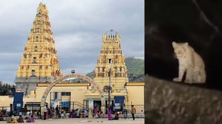 ಹೊಸ ರೂಲ್ಸ್​: ಮಲೆ ಮಹದೇಶ್ವರಬೆಟ್ಟಕ್ಕೆ ತೆರಳುವ ಭಕ್ತಾದಿಗಳಿಗೆ ಮಹತ್ವದ ಸೂಚನೆ