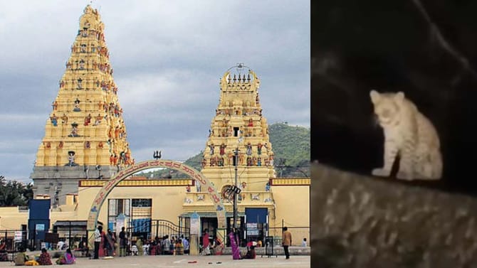 ಹೊಸ ರೂಲ್ಸ್​: ಮಹದೇಶ್ವರಬೆಟ್ಟಕ್ಕೆ ತೆರಳುವ ಭಕ್ತಾದಿಗಳಿಗೆ ಮಹತ್ವದ ಸೂಚನೆ