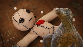 ವಶೀಕರಣಕ್ಕೆ ಆನ್‌ಲೈನ್‌ನಲ್ಲಿ ಉಡದ ಜನನಾಂಗ ಮಾರಾಟ ಮಾಡುತ್ತಿದ್ದ ಮಾಂತ್ರಿಕ