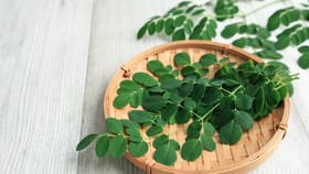 ನುಗ್ಗೆ ಸೊಪ್ಪು ತಿಂದ್ರೆ ನೀವು ಊಹಿಸಲು ಸಾಧ್ಯವಾಗದ ಪ್ರಯೋಜನ ಸಿಗುತ್ತೆ!