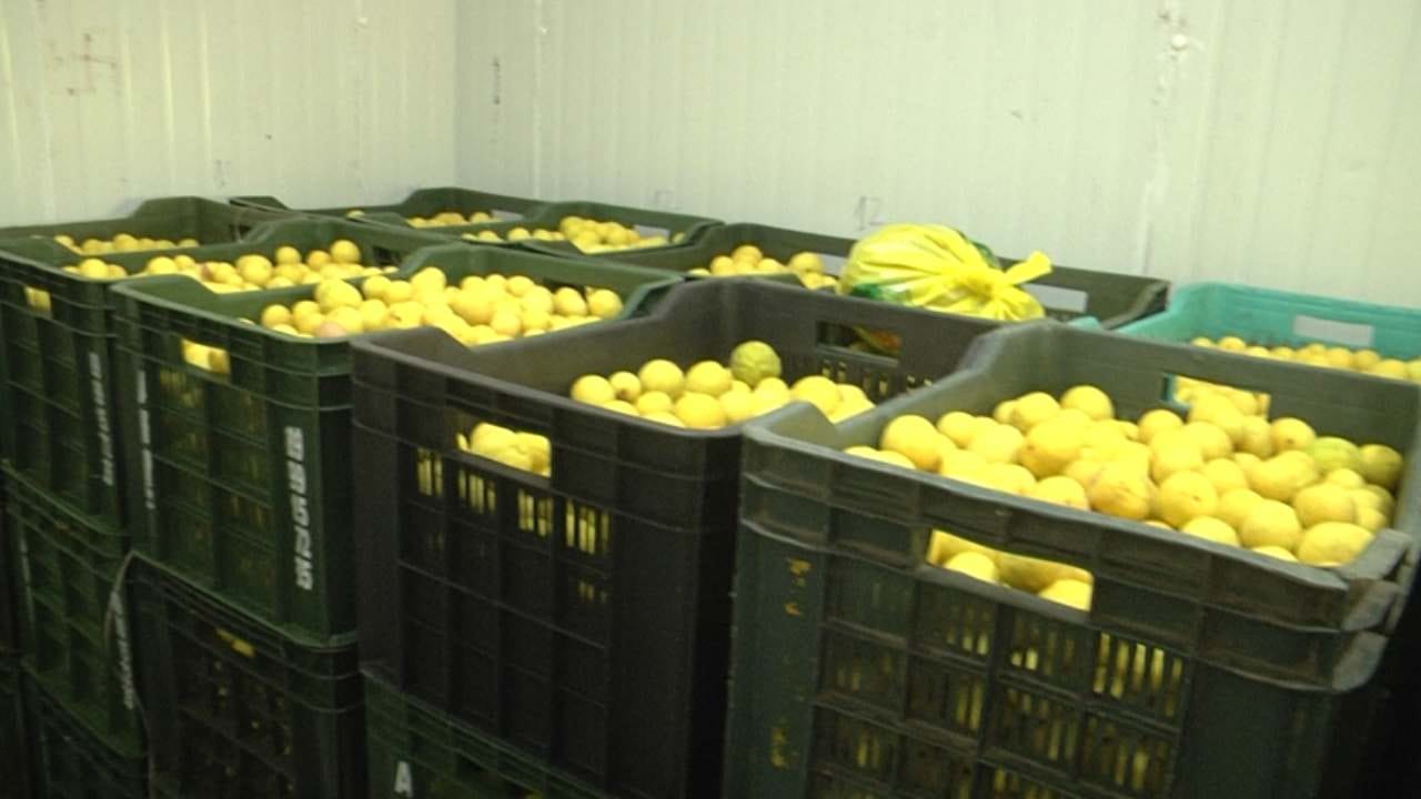 ವಾತಾವರಣಕ್ಕೆ ಅನುಗುಣವಾಗಿ ನಿಂಬೆ ದರ ನಿಗದಿಯಾಗುತ್ತದೆ. ಚಳಗಾಲಕ್ಕೆ ಹೋಲಿಸಿದರೆ ಬೆಸಿಗೆಯಲ್ಲಿ ಇದರ ಬೆಲೆ ಹೆಚ್ಚು. ಜೊತೆಗೆ ವಾರದಿಂದ ವಾರಕ್ಕೆ ದರ ಏರಿಳಿತವಾಗುವ ಕಾರಣಕ್ಕೆ ತೋಟಗಾರಿಕೆ ಇಲಾಖೆಯ ಸಹಾಯ ಪಡೆದುಕೊಂಡು 60 ಟನ್ ನಷ್ಟು ನಿಂಬೆ ಸ್ಟೋರೇಜ್ ನಿರ್ಮಿಸಿಕೊಂಡಿದ್ದಾರೆ. ಹೀಗಾಗಿ ಮಾರುಕಟ್ಟೆಯಲ್ಲಿ ಯಾವಾಗ ದರ ಹೆಚ್ಚಿಗೆ ಇರುತ್ತದೆಯೋ ಅಂದು ಮಾರುಕಟ್ಟೆಯಲ್ಲಿ ಮಾರಾಟ ಮಾಡಲಾಗುತ್ತದೆ. ಒಟ್ಟಿನಲ್ಲಿ ರೈತ ರಾಮ್ ರೆಡ್ಡಿ ಕೃಷಿಯಲ್ಲಿ ಯಶಸ್ಸು ಕಂಡಿದ್ದಾರೆ.