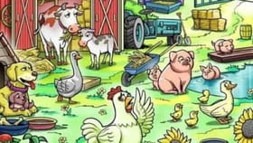 ಈ ಚಿತ್ರದಲ್ಲಿ ಅಡಗಿ ಕುಳಿತಿರುವ ಕೋಳಿ ಮರಿಯನ್ನು ಹುಡುಕಬಲ್ಲಿರಾ