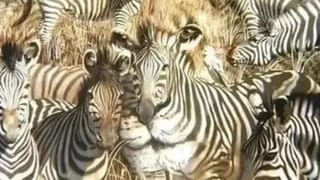 Viral: ಬೆಂಗಳೂರಿಗೆ ಬಂದ ಬಳಿಕ ಸ್ನೇಹಿತರನ್ನು ಮಾಡಿಕೊಳ್ಳಲು ಈ ಟ್ರಿಕ್ಸ್‌ ಬಳಸಿದೆ ಎಂದ ಯುವತಿ