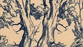 ಈ ಚಿತ್ರದಲ್ಲಿರುವ ಮೂರು ಮುಖಗಳನ್ನು ಗುರುತಿಸಿದ್ರೆ ನೀವು ಬುದ್ಧಿವಂತರು