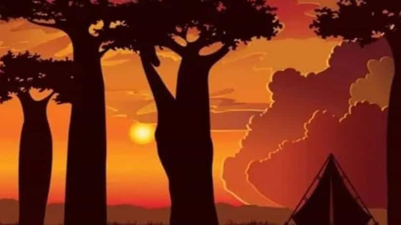 Optical Illusion: ನೀವು ಜಾಣರೇ, ಈ ಚಿತ್ರದಲ್ಲಿ ಅಡಗಿರುವ ಜಿರಾಫೆಯನ್ನು ಕಂಡು ಹಿಡಿಯಬಲ್ಲಿರಾ