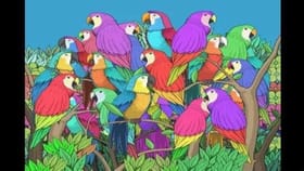 ಜಸ್ಟ್ 15 ಸೆಕೆಂಡುಗಳಲ್ಲಿ ಗಿಳಿಗಳ ನಡುವೆ ಅಡಗಿರುವ ಚಿಟ್ಟೆಯನ್ನು ಗುರುತಿಸಿ