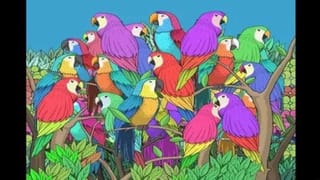 Optical Illusion: ಗಿಳಿಗಳ ನಡುವೆ ಅಡಗಿದೆ ಬಣ್ಣದ ಚಿಟ್ಟೆ;‌ ಜಸ್ಟ್ 15 ಸೆಕೆಂಡುಗಳಲ್ಲಿ ಗುರುತಿಸಿ