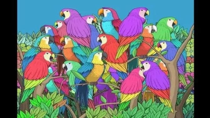 ಜಸ್ಟ್ 15 ಸೆಕೆಂಡುಗಳಲ್ಲಿ ಗಿಳಿಗಳ ನಡುವೆ ಅಡಗಿರುವ ಚಿಟ್ಟೆಯನ್ನು ಗುರುತಿಸಿ