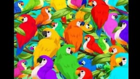 ರಾಮಗಿಳಿಗಳ ನಡುವೆ ಅಡಗಿರುವ ಊಸರವಳ್ಳಿಯನ್ನು ಗುರುತಿಸಿ