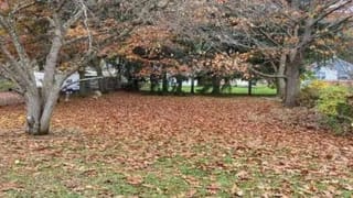 Viral Video: 60 ಅಡಿ ಎತ್ತರದ ನೀರಿನ ಟ್ಯಾಂಕ್ ಹತ್ತಿದ ಹೋರಿ