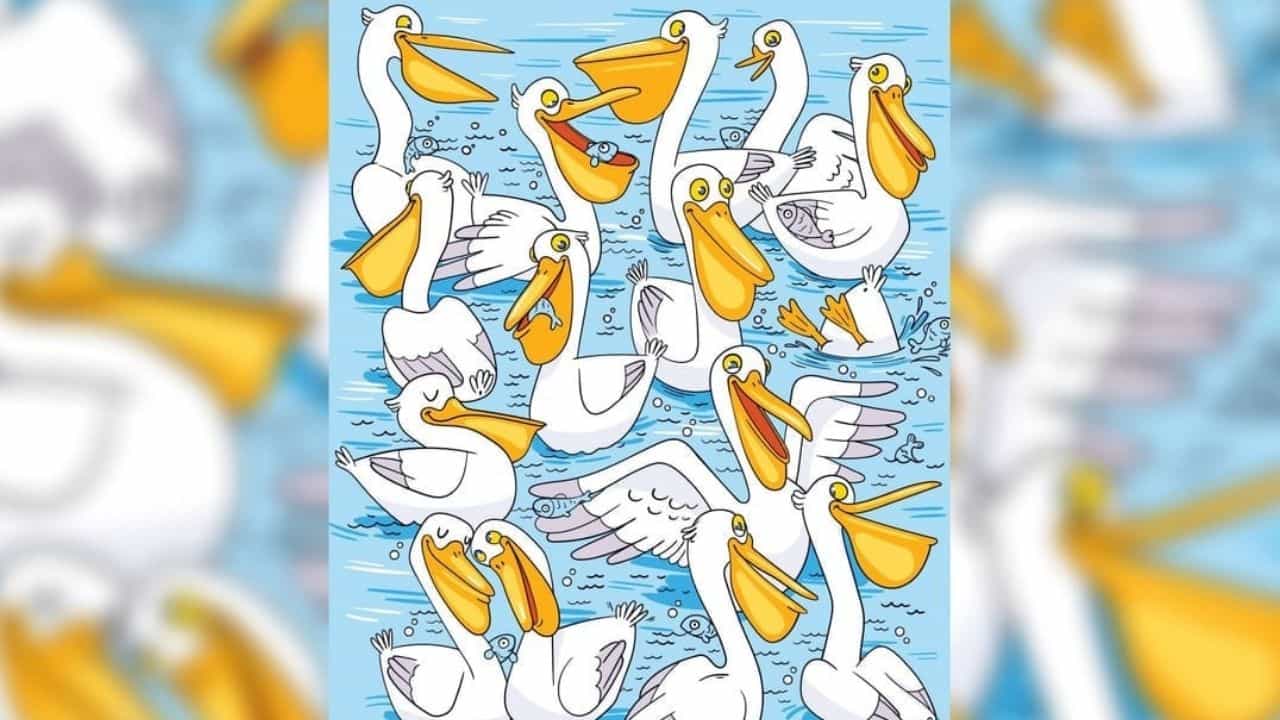 Optical Illusion: ನಿಮಗೊಂದು ಸವಾಲ್; ಬಾತುಕೋಳಿಗಳ ನಡುವೆ ಅಡಗಿರುವ ಮೀನುಗಳನ್ನು ಪತ್ತೆ ಹಚ್ಚಿ Optical Illusion: ನಿಮಗೊಂದು ಸವಾಲ್; ಬಾತುಕೋಳಿಗಳ ನಡುವೆ ಅಡಗಿರುವ ಮೀನುಗಳನ್ನು ಪತ್ತೆ ಹಚ್ಚಿ