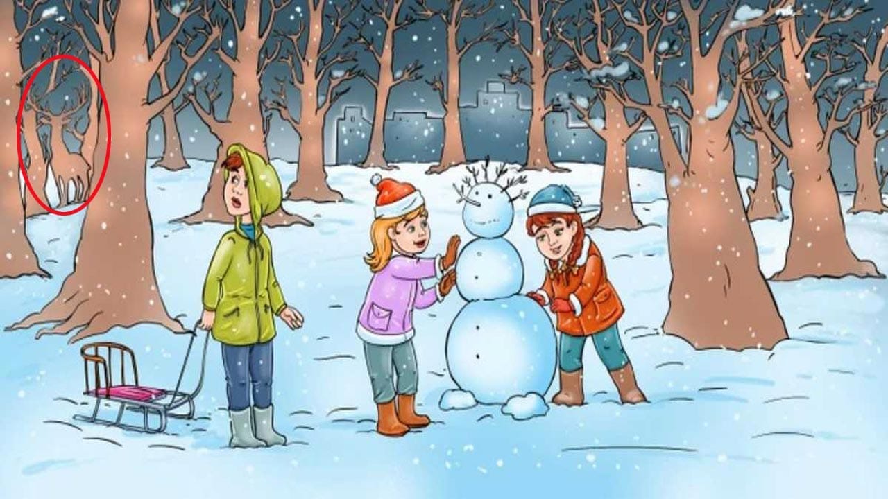 Optical Illusion Answer