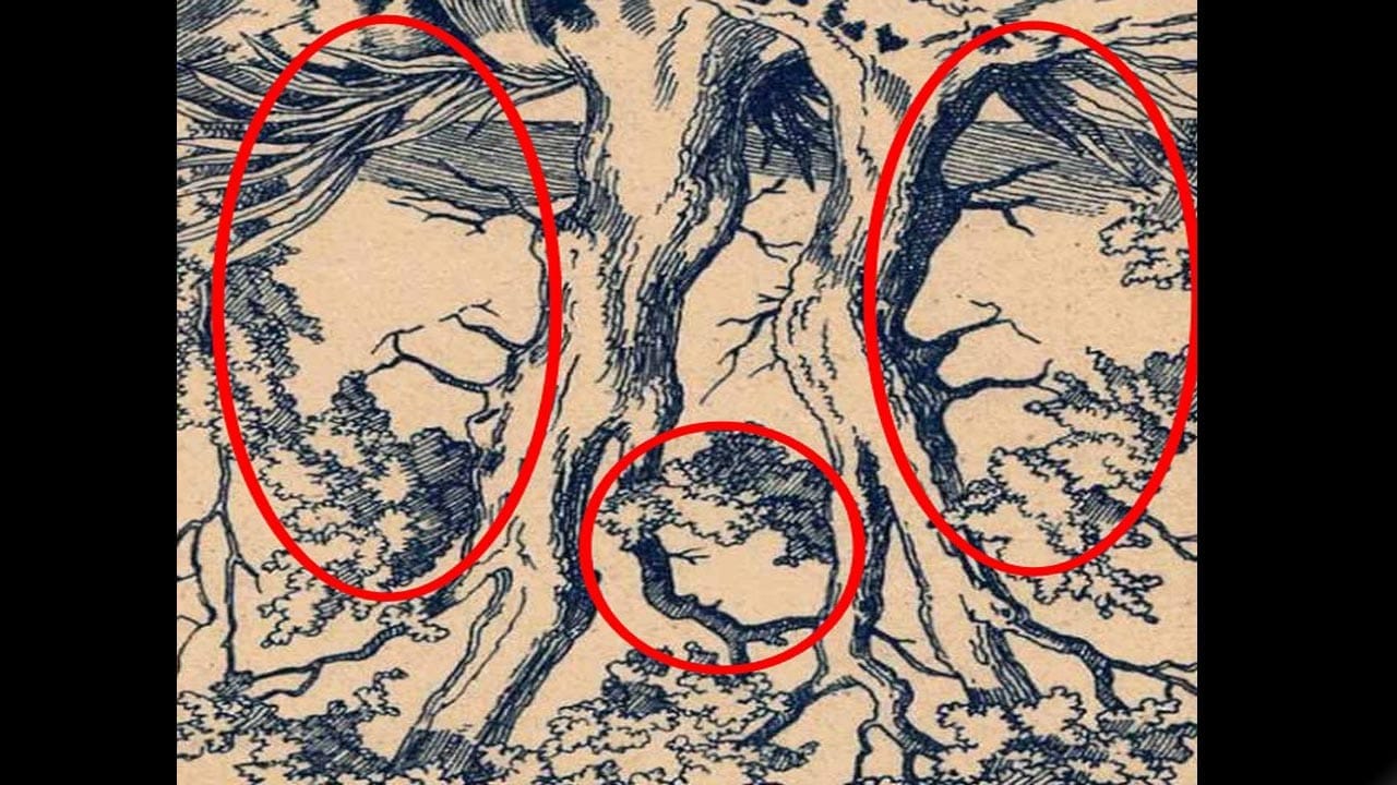 Optical Illusion Answer