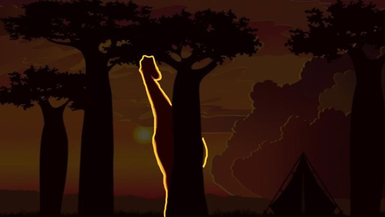 Optical Illusion Answer