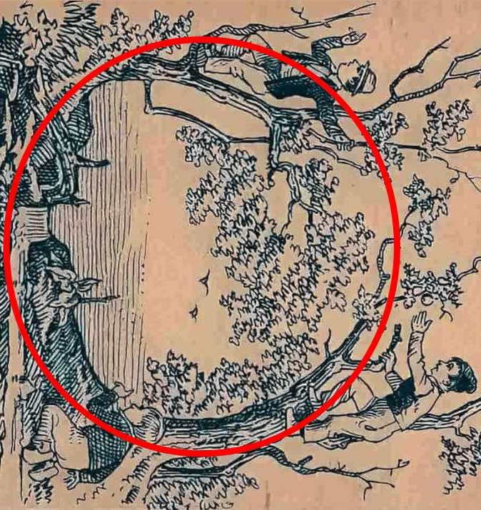 Optical Illusion Answer