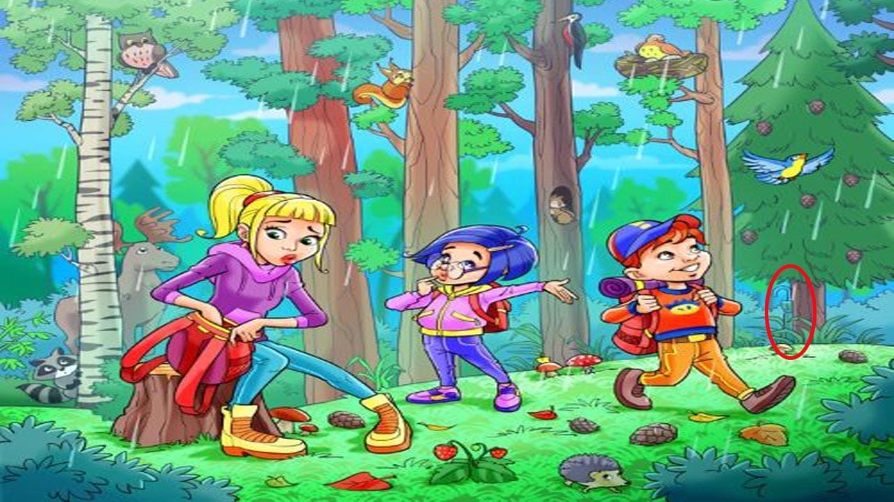 Optical Illusion Answer