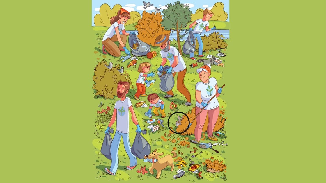 Optical Illusion Answer