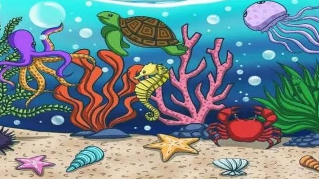 Optical Illusion: ಸಮುದ್ರ ಆಳದಲ್ಲಿರುವ ಮೀನನ್ನು 10 ಸೆಕೆಂಡುಗಳಲ್ಲಿ ಕಂಡುಹಿಡಿಯುವಿರಾ Optical Illusion: ಸಮುದ್ರ ಆಳದಲ್ಲಿರುವ ಮೀನನ್ನು 10 ಸೆಕೆಂಡುಗಳಲ್ಲಿ ಕಂಡುಹಿಡಿಯುವಿರಾ