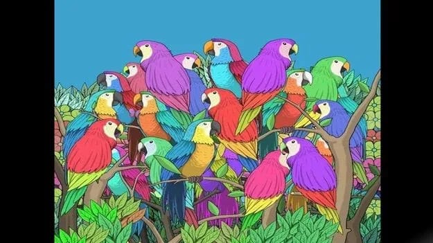 Optical Illusion Image