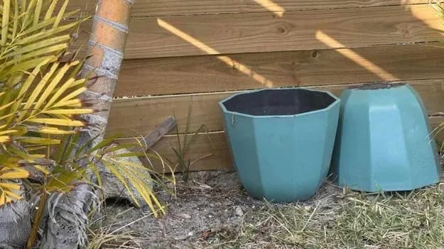 Optical Illusion Image