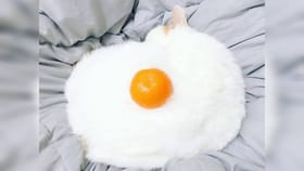 ನಿಮ್ಮ ವ್ಯಕ್ತಿತ್ವದ ರಹಸ್ಯವನ್ನು ಈ ಚಿತ್ರದ ಮೂಲಕ ತಿಳಿಯಿರಿ