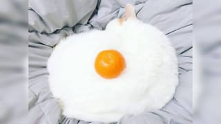 Personality Test: ಈ ಚಿತ್ರದಲ್ಲಿ ನಿಮಗೆ ಮೊದಲು ಕಾಣಿಸುವ ಅಂಶ ನಿಮ್ಮ ವ್ಯಕ್ತಿತ್ವ ಹೇಗಿದೆ ಎಂಬುದನ್ನು ರಿವೀಲ್‌ ಮಾಡುತ್ತೆ