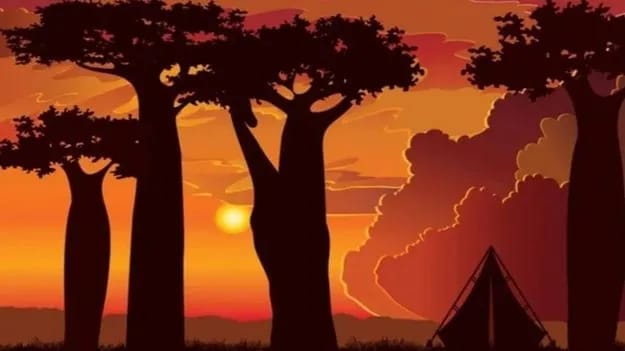 Optical Illusion Photo