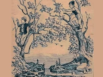 Optical Illusion Photo