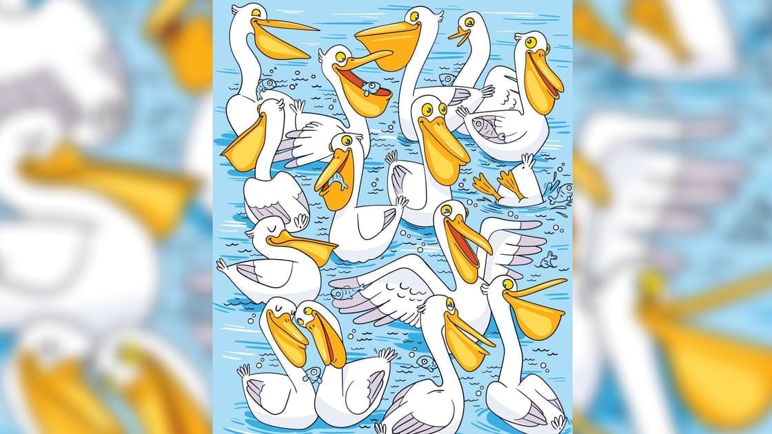 Optical Illusion Photo