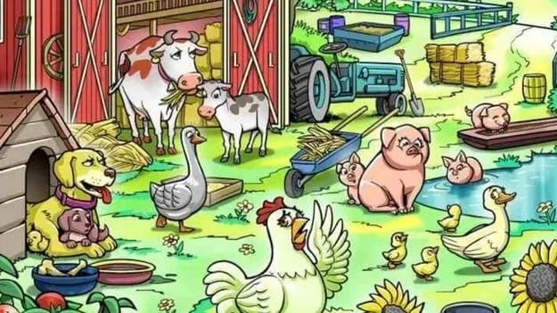 Optical Illusion Photo