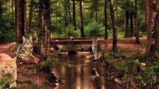 Video: 12 ಲಕ್ಷ ರೂ ಸಾಲ ತೀರಿಸಲು ಹಣ ನೀಡಿದ ಮಗ, ಕಣ್ಣೀರು ಹಾಕಿದ ತಾಯಿ