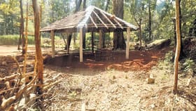 ಮೋಜು ಮಸ್ತಿಗಾಗಿ ಅರಣ್ಯ ಅಧಿಕಾರಿಗಳಿಂದಲೇ ಮರಗಳ ಮಾರಣ ಹೋಮ? ತನಿಖೆಗೆ ಆದೇಶ