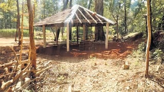 Uttara Kannada: ಮೋಜು ಮಸ್ತಿಗಾಗಿ ಅರಣ್ಯ ಅಧಿಕಾರಿಗಳಿಂದಲೇ ಮರಗಳ ಮಾರಣ ಹೋಮ? ತನಿಖೆಗೆ ಆದೇಶ