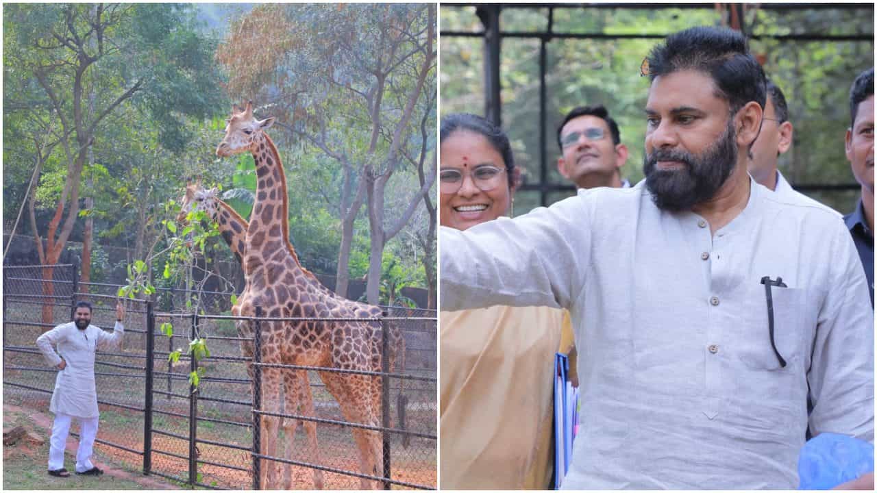 ತಾಯಿ ಜನ್ಮದಿನಕ್ಕೆ ಎರಡು ಜಿರಾಫೆ ದತ್ತು ಪಡೆದ ಪವನ್ ಕಲ್ಯಾಣ್ ತಾಯಿ ಜನ್ಮದಿನಕ್ಕೆ ಎರಡು ಜಿರಾಫೆ ದತ್ತು ಪಡೆದ ಪವನ್ ಕಲ್ಯಾಣ್